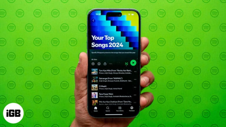 Spotify Wrapped 2024 on an iPhone.
