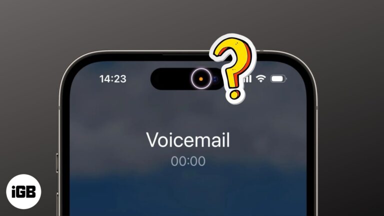 Green or orange dot on your iPhone screen.