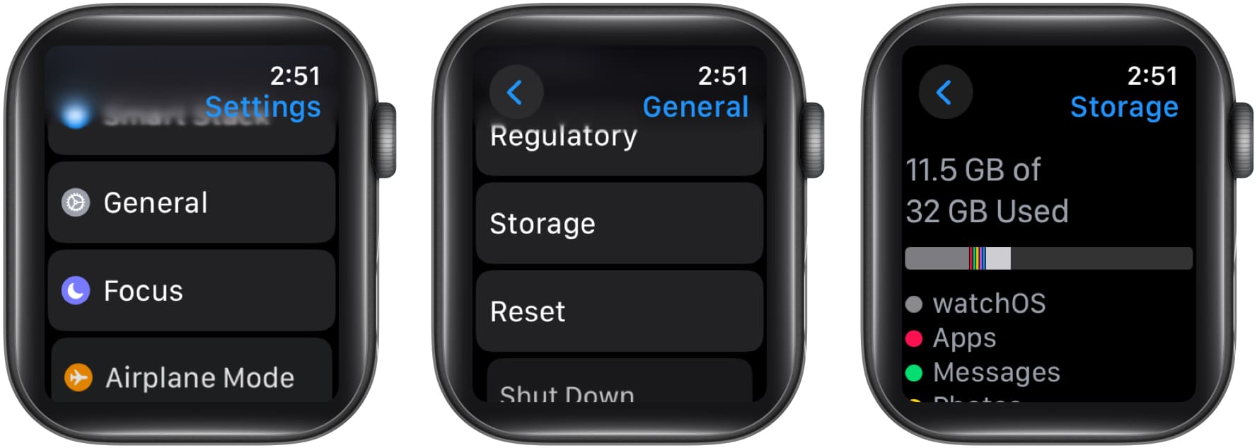 Accessing the Storage page on an Apple Watch