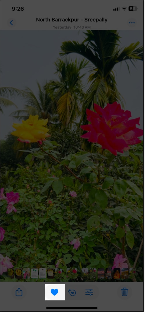 Tap on heart icon to add image in Featured Photo section in Photos app